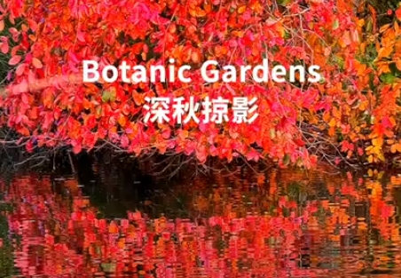【视频】奥克兰Botanic Gardens：深秋掠影