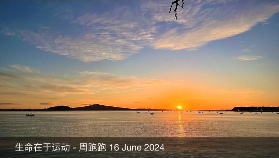 【视频】新西兰清晨太阳下，热爱跑步的人们
