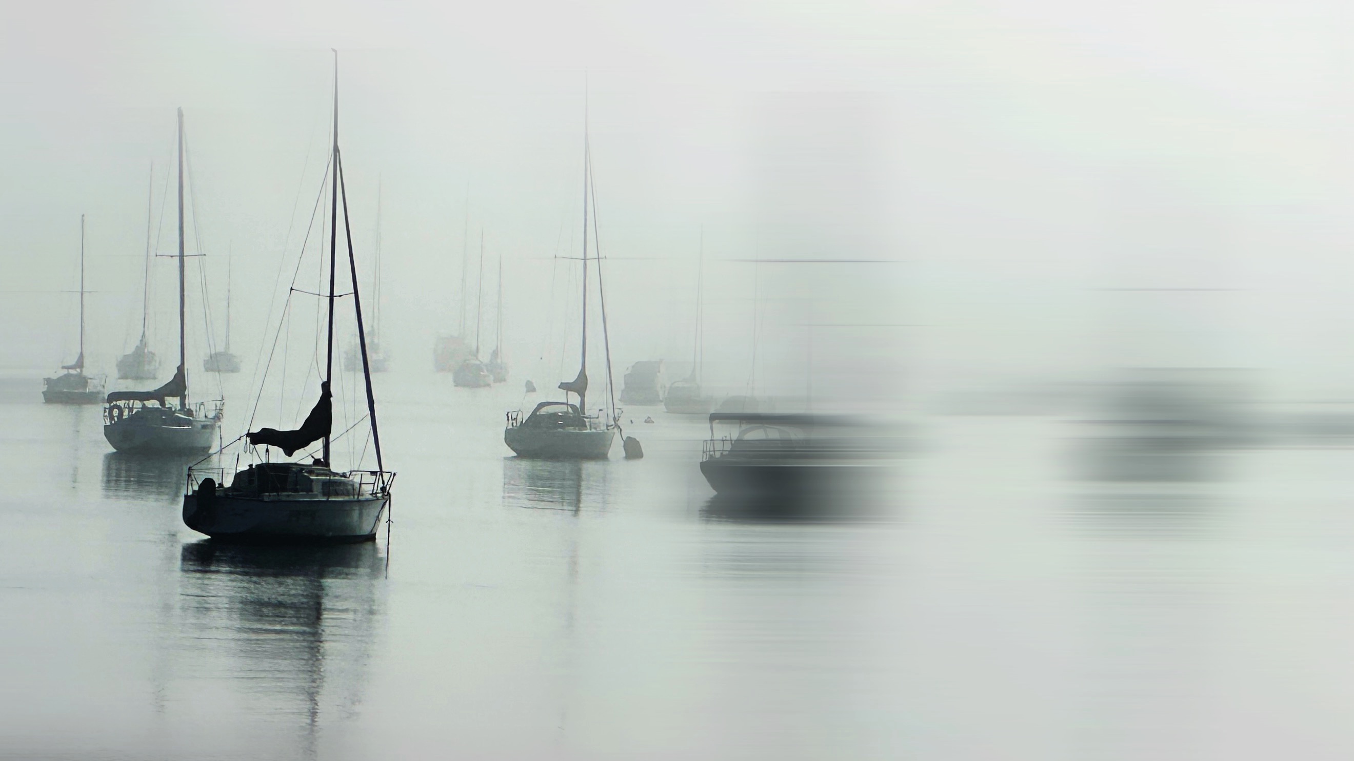 【精彩美图】今晨，浓雾弥漫奥克兰半月湾